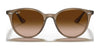 Ray-Ban RB4305 Sunglasses | Size 53 / Light Havana №710/73 / Dark Brown (3N 13.5%)