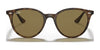 Ray-Ban RB4305 Sunglasses | Size 53 / Light Havana №710/73 / Dark Brown (3N 13.5%)