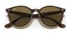 Ray-Ban RB4305 Sunglasses | Size 53 / Light Havana №710/73 / Dark Brown (3N 13.5%)