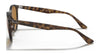 Ray-Ban RB4305 Sunglasses | Size 53 / Light Havana №710/73 / Dark Brown (3N 13.5%)