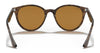 Ray-Ban RB4305 Sunglasses | Size 53 / Light Havana №710/73 / Dark Brown (3N 13.5%)