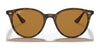 Ray-Ban RB4305 Sunglasses | Size 53 / Light Havana №710/73 / Dark Brown (3N 13.5%)