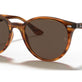 Striped Red Havana №820/73