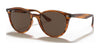 Ray-Ban RB4305 Sunglasses | Size 53 / Striped Red Havana №820/73 / Dark Brown (3N 9%)