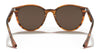 Ray-Ban RB4305 Sunglasses | Size 53 / Light Havana №710/73 / Dark Brown (3N 13.5%)