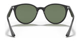 Ray-Ban RB4305F Sunglasses | Size 53