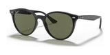 Ray-Ban RB4305F Sunglasses