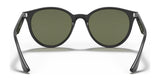 Ray-Ban RB4305F Sunglasses