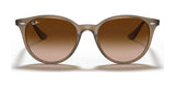 Ray-Ban RB4305F Sunglasses