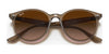 Ray-Ban RB4305F Sunglasses | Size 53 / Beige №616613 / Brown Gradient (3N 16%)