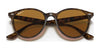 Ray-Ban RB4305F Sunglasses | Size 53 / Beige №616613 / Brown Gradient (3N 16%)