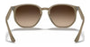 Ray-Ban RB4306 Sunglasses | Size 54 / Black №601/71 / Dark Green (3N 12.9%)