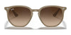 Ray-Ban RB4306 Sunglasses | Size 54 / Black №601/71 / Dark Green (3N 12.9%)