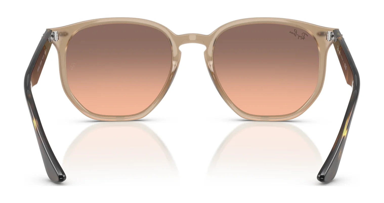 Ray-Ban RB4306 Sunglasses