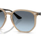 Turtledove №6788V1