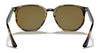 Ray-Ban RB4306 Sunglasses | Size 54 / Black №601/71 / Dark Green (3N 12.9%)