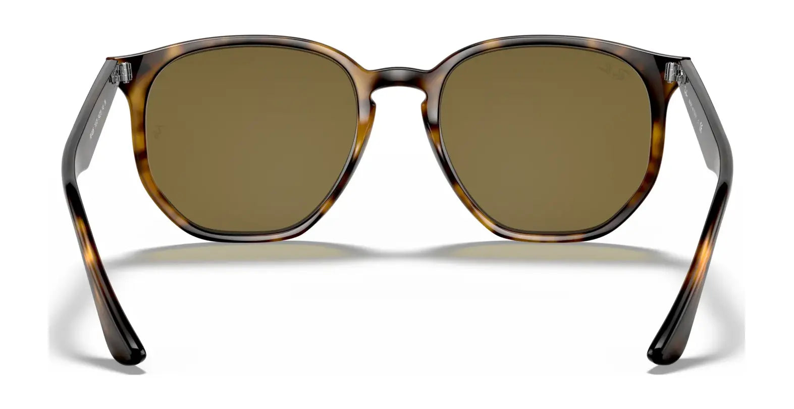 Ray-Ban RB4306 Sunglasses