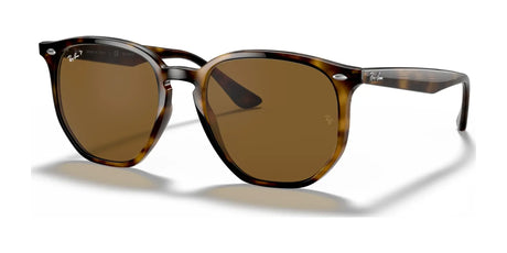 Ray-Ban RB4306 Sunglasses