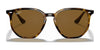 Ray-Ban RB4306 Sunglasses | Size 54 / Black №601/71 / Dark Green (3N 12.9%)