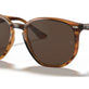 Striped Red Havana №820/73