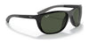 Ray-Ban RB4307 Sunglasses / Black №601/71 / Green Classic (3N 12.9%)