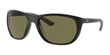 Ray-Ban RB4307 Sunglasses Black / G-15 Green (Polarized)