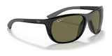 Ray-Ban RB4307 Sunglasses | Size 61