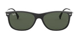 Ray-Ban RB4318 Sunglasses | Size 55