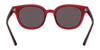 Ray-Ban RB4324 Sunglasses | Size 50 / Transparent №644732 / Light Grey (2N 33.3%)