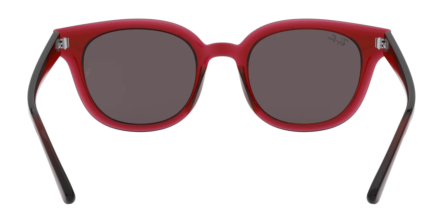 Ray-Ban RB4324 Sunglasses | Size 50