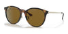 Ray-Ban RB4334D Sunglasses | Size 55 / Light Havana №710/83 / B-15 Brown (Polarized) (3P 17%)