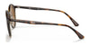 Ray-Ban RB4336 Sunglasses | Size 50 / Havana №710/33 / B-15 Brown (3N 14.6%)