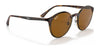 Ray-Ban RB4336 Sunglasses | Size 50 / Havana №710/33 / B-15 Brown (3N 14.6%)