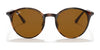 Ray-Ban RB4336 Sunglasses | Size 50 / Havana №710/33 / B-15 Brown (3N 14.6%)