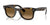 Ray-Ban WAYFARER RB4340 Sunglasses | Size 50 / Havana №710/M2
