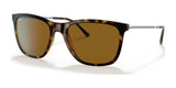 Ray-Ban RB4344 Sunglasses Havana / Brown