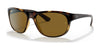 Ray-Ban RB4351 Sunglasses | Size 59 / Havana №710/83 / B-15 Brown (Polarized) (3P 17%)