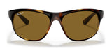 Ray-Ban RB4351 Sunglasses | Size 59