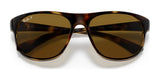 Ray-Ban RB4351 Sunglasses | Size 59