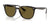 Ray-Ban RB4362 Sunglasses | Size 55 / Havana №710/73