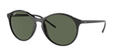 Ray-Ban RB4371 Sunglasses Black / Green