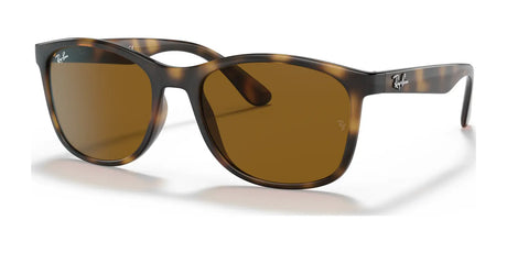 Ray-Ban RB4374 Sunglasses | Size 56