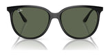 Ray-Ban RB4378 Sunglasses | Size 54