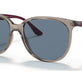 Transparent Grey №65722V