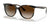Ray-Ban RB4378 Sunglasses | Size 54 / Havana №710/13