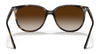 Ray-Ban RB4378 Sunglasses | Size 54 / Black №601/8G / Grey Gradient (3N 15.2%)
