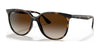 Ray-Ban RB4378F Sunglasses | Size 54 / Havana №710/13 / Gradient Brown (3N 16%)