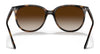 Ray-Ban RB4378F Sunglasses | Size 54 / Black №601/71 / Dark Green (3N 12.0%)