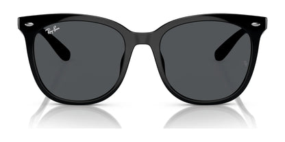 Ray-Ban RB4379D Sunglasses | Size 55