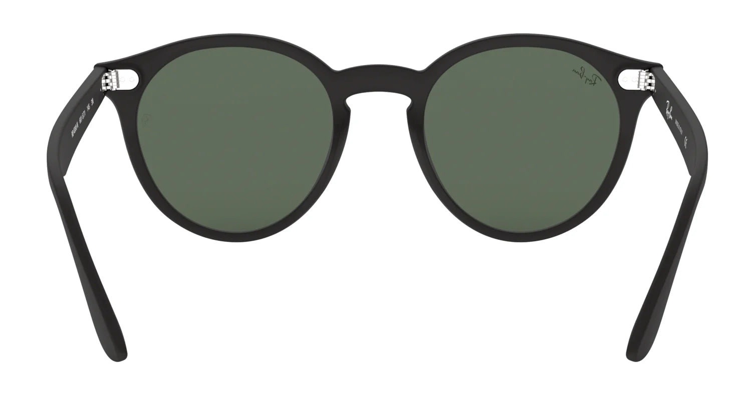 Ray-Ban BLAZE PANTHOS RB4380N Sunglasses | Size 137